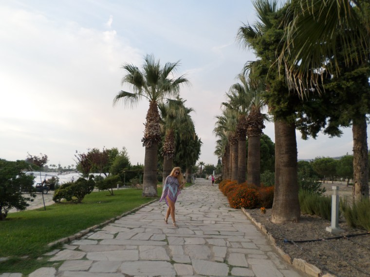 SAMSUNG CAMERA PICTURES