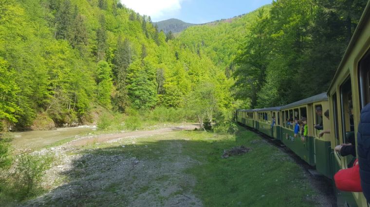 plimbare mocanita Valea Vaserului