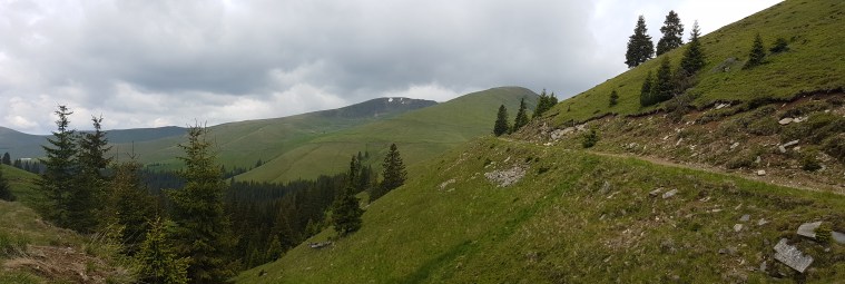 drum in Muntii Fagarasi