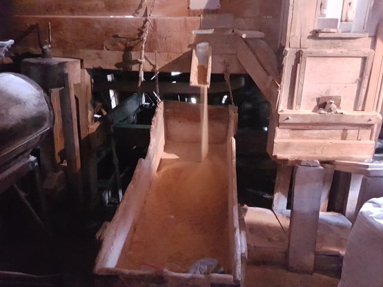 moara ohaba care macina porumb