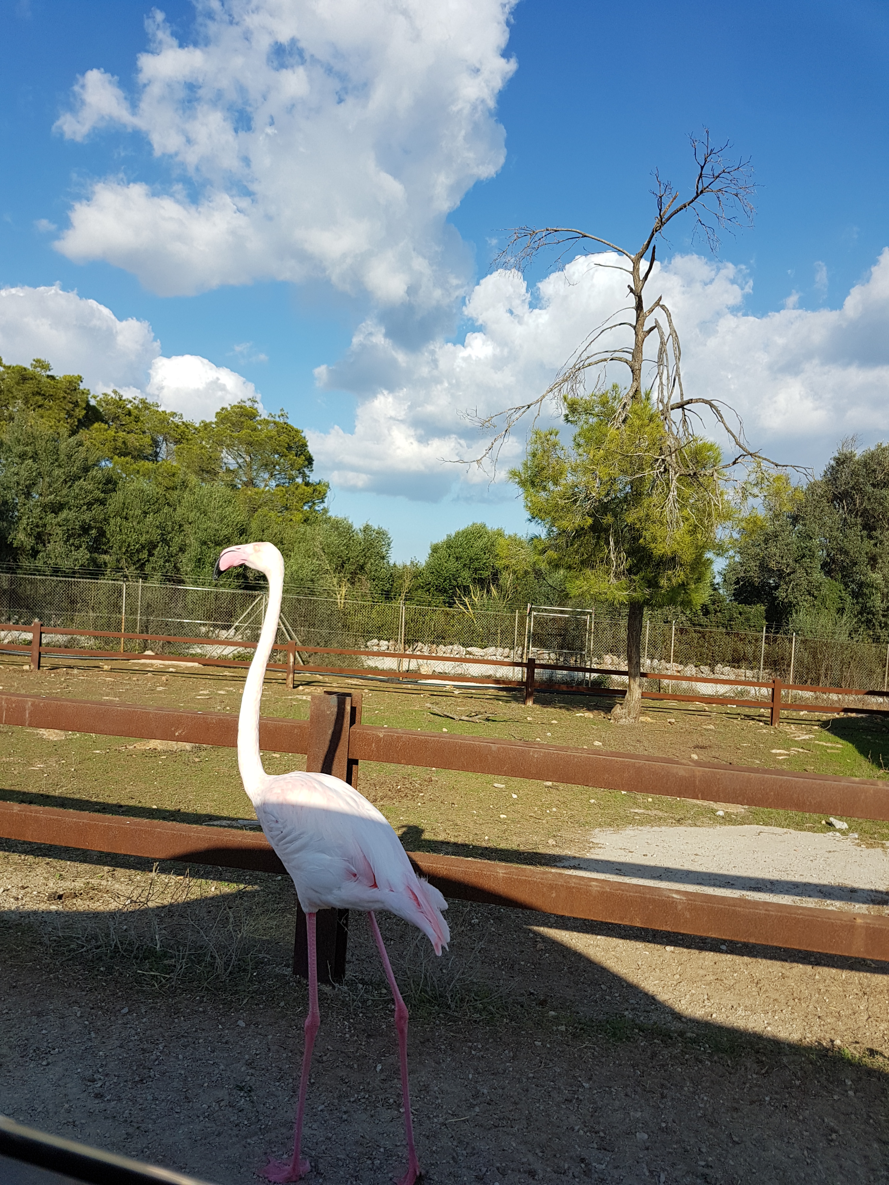 ce poti sa vizitezi in Palma de Mallorca
