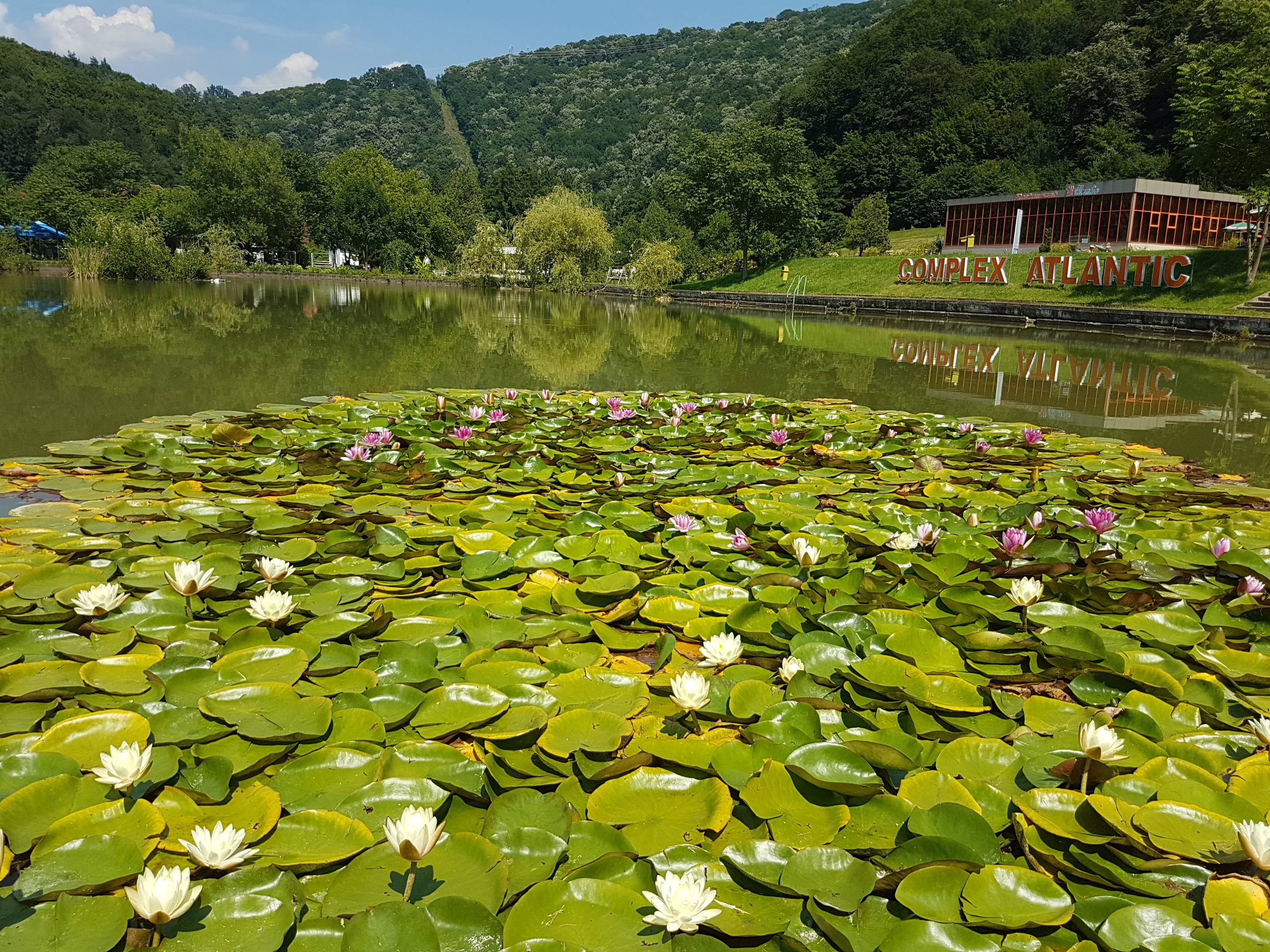 cazare festival Custom Resita